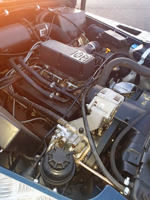 lrp2